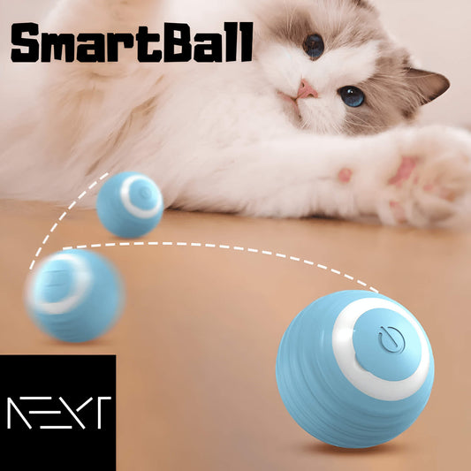 product image for smartball