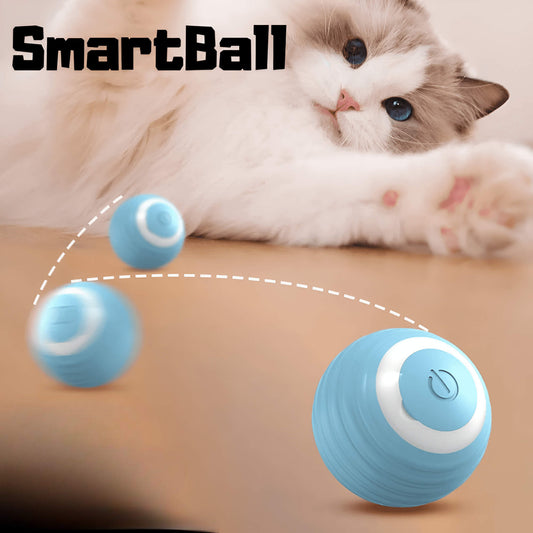 smartball lite product image