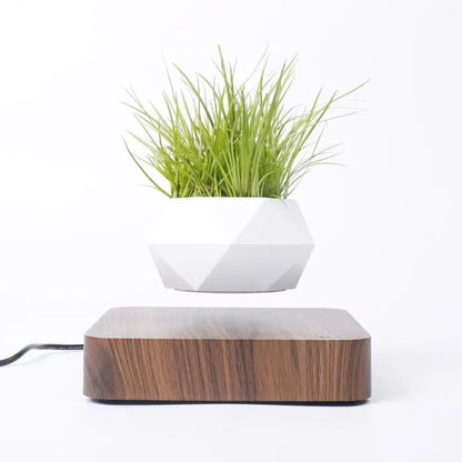 Levitating Magnetic Pot for Plants