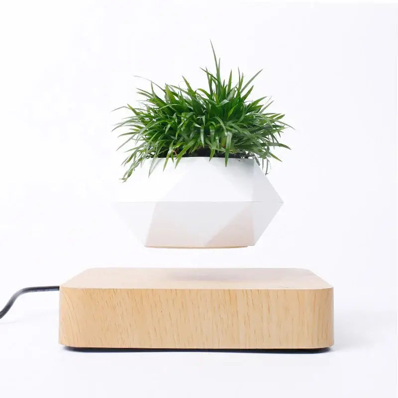 Levitating Magnetic Pot for Plants