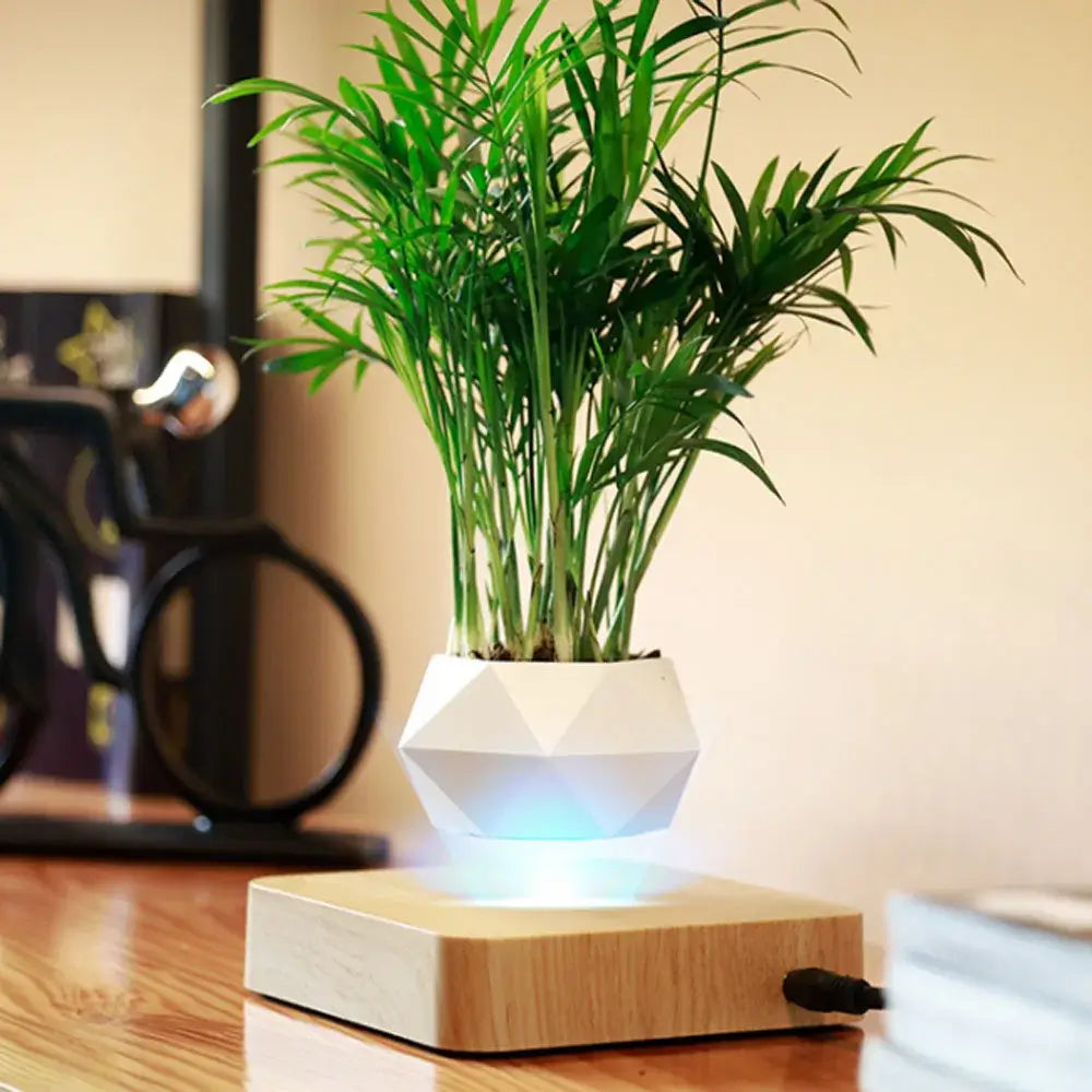 floating plant pot product image